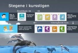 Nye svømmekurs på Ski Bad starter opp rett etter sommerferien